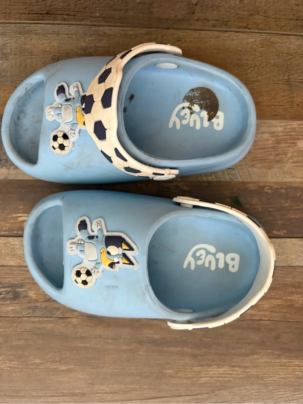 Bluey sandals